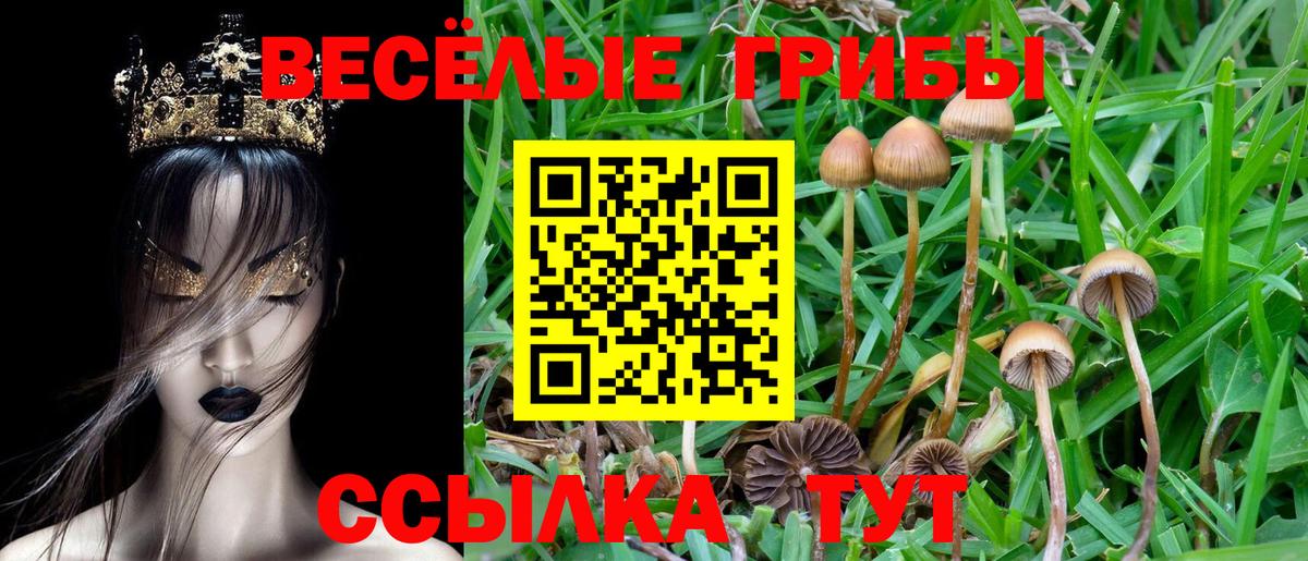 купить  сайты  Галлюциногенные грибы Magic Shrooms  Вход с VPN  Будённовск 