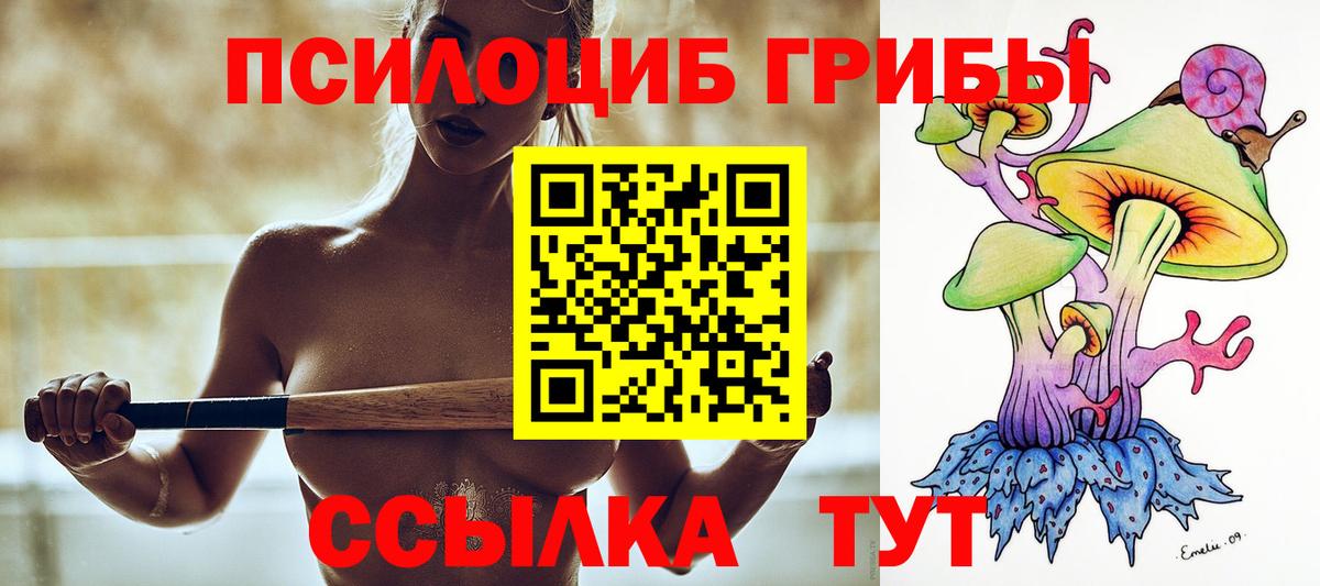 Галлюциногенные грибы Cubensis Будённовск