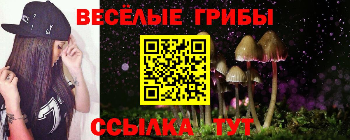 МЕФ Будённовск